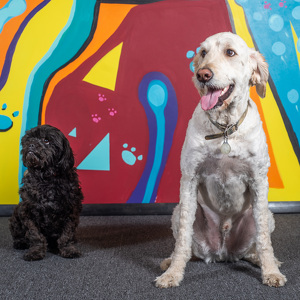 Fundraising Page: Valerie Stover